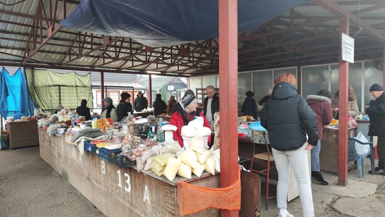Zelena pijaca i trenutne cijene prasadi