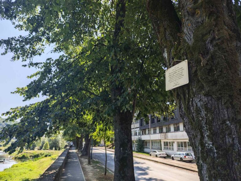 Servisne informacije: Vatrogasci gasili požar niskog rastinja