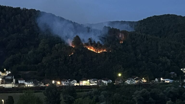 Dva aktivna požara na području opštine
